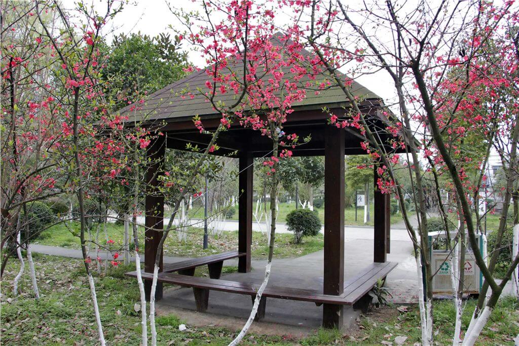 綿陽市秀水中學校園風采