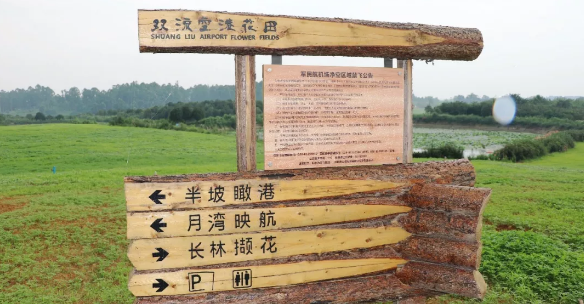 成都實外西區(qū)黨委組織黨員赴成都雙流綜合保稅區(qū)考察學習