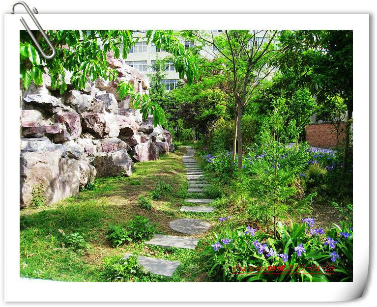 甘洛中學(xué)地址在哪里？
