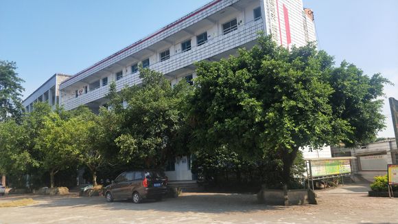 隆昌八中怎么樣？