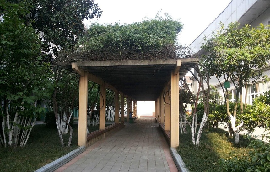 通錦中學(xué)環(huán)境怎么樣？