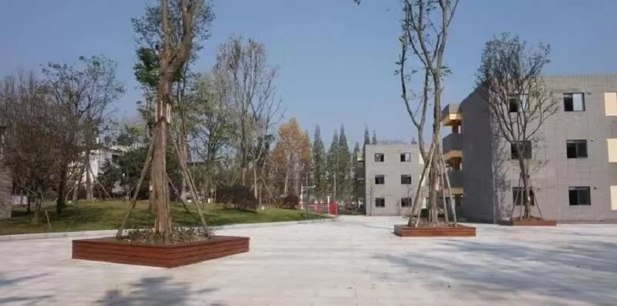 成都綿實(shí)外國語學(xué)校2019年招生公告公布了嗎？