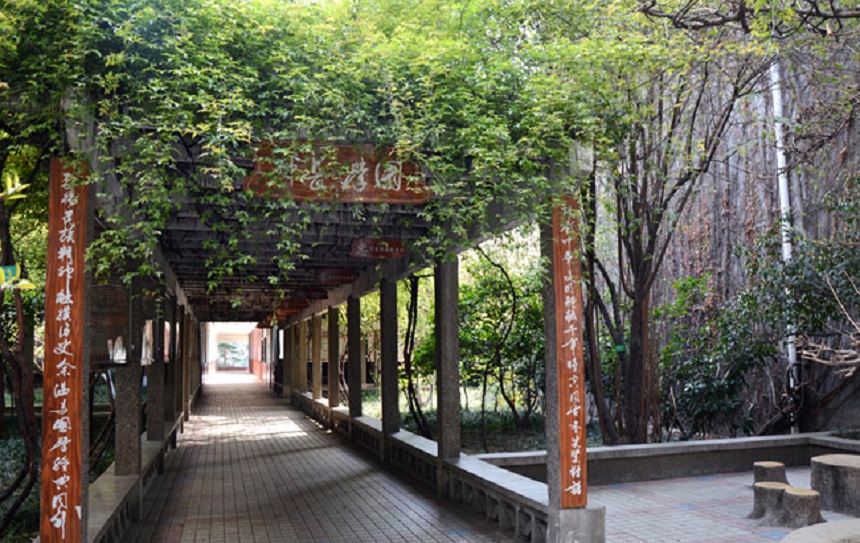 成都玉林中學(xué)網(wǎng)址在是什么？