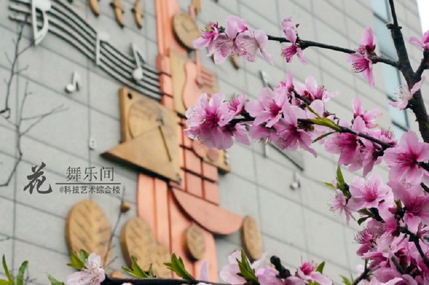 石室天府中學(xué)環(huán)境好不好、怎么樣？