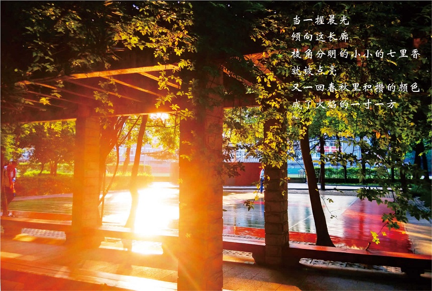成都七中高新校區(qū)2019年中考分數(shù)線是多少？