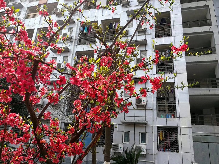 綿陽南山中學(xué)是一所公辦的高中吧？