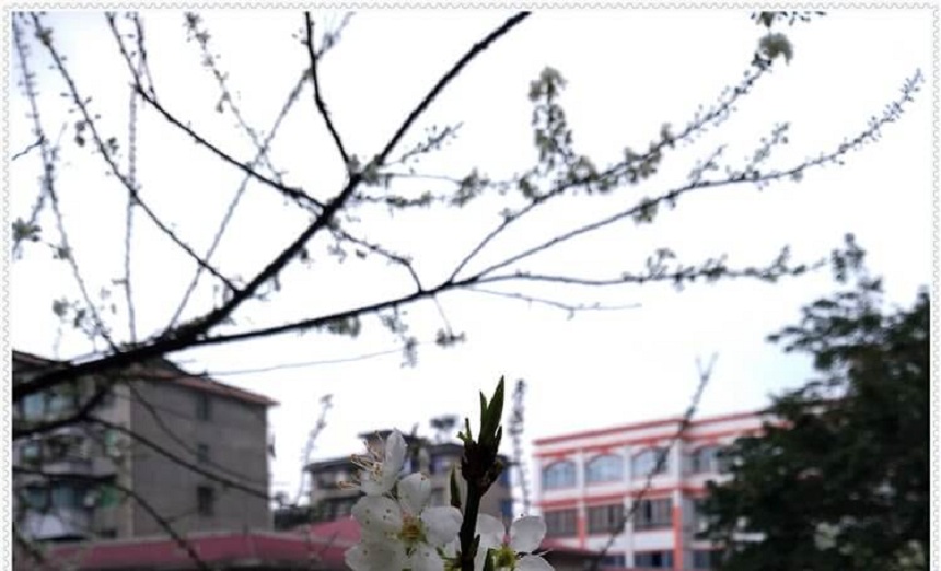 洪雅中學是一所公辦高中學嗎？