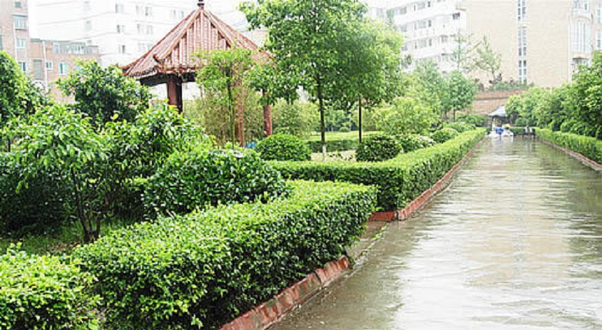 華興中學(xué)環(huán)境好不好？
