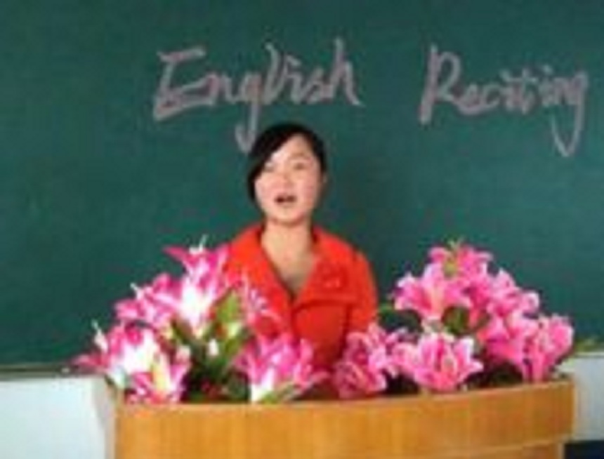 汪洋中學是民辦還是公辦？