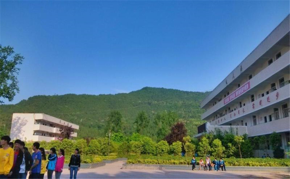金山中學(xué)2020年學(xué)校招生計(jì)劃在哪兒看？