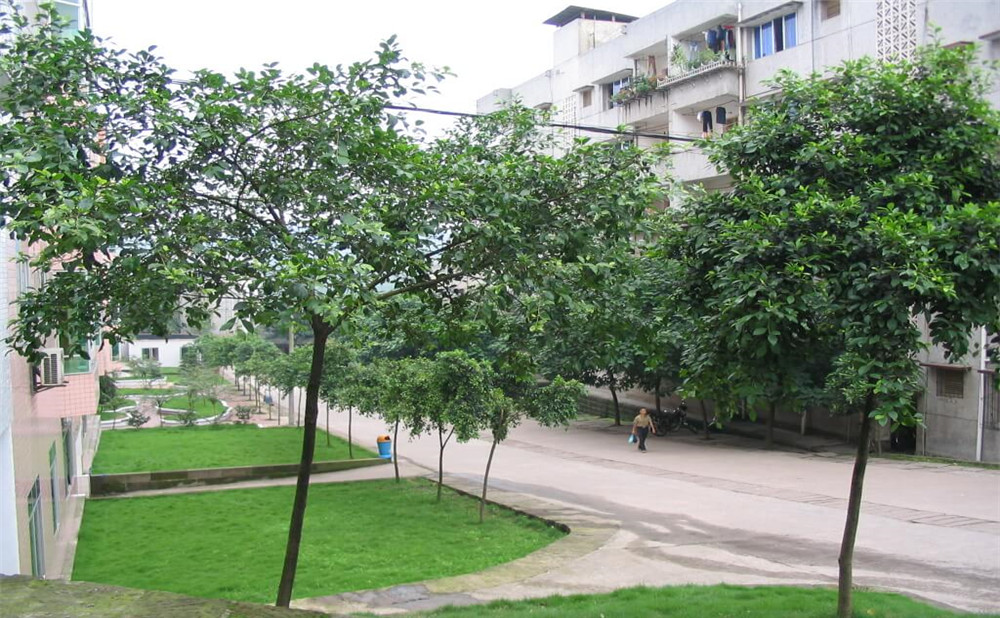 瀘州市納溪區(qū)護(hù)國中學(xué)地址在哪里？