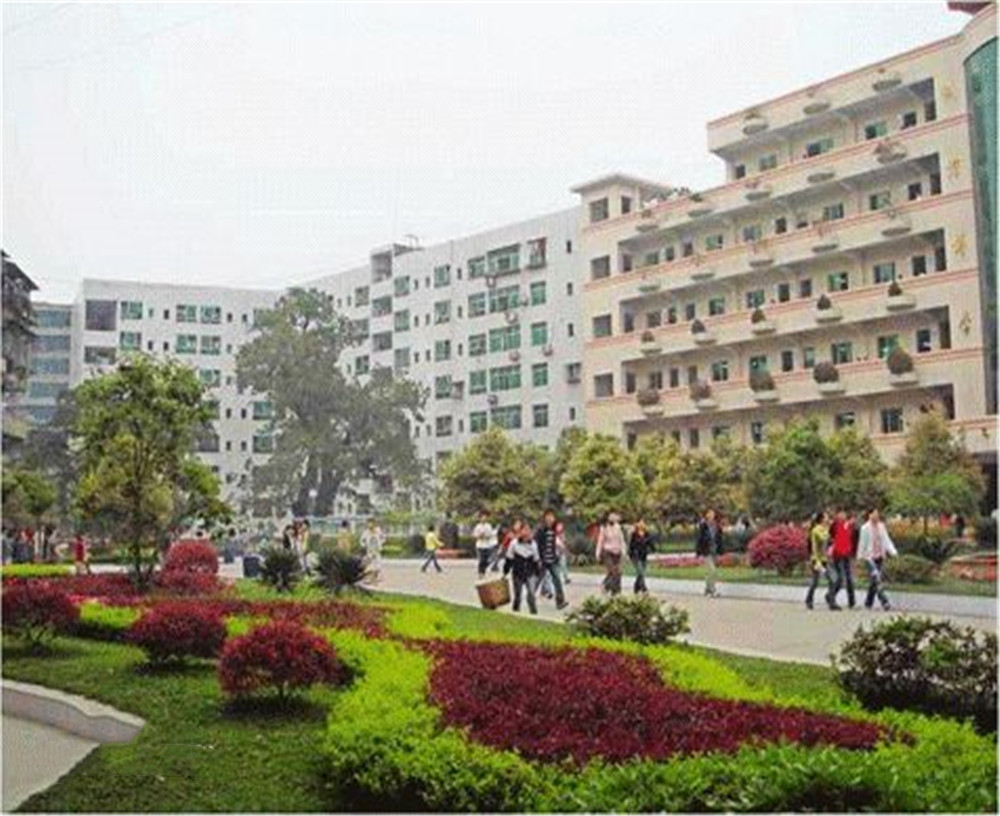 渠縣第二中學(xué)學(xué)校2020年的錄取分?jǐn)?shù)公布了嗎？