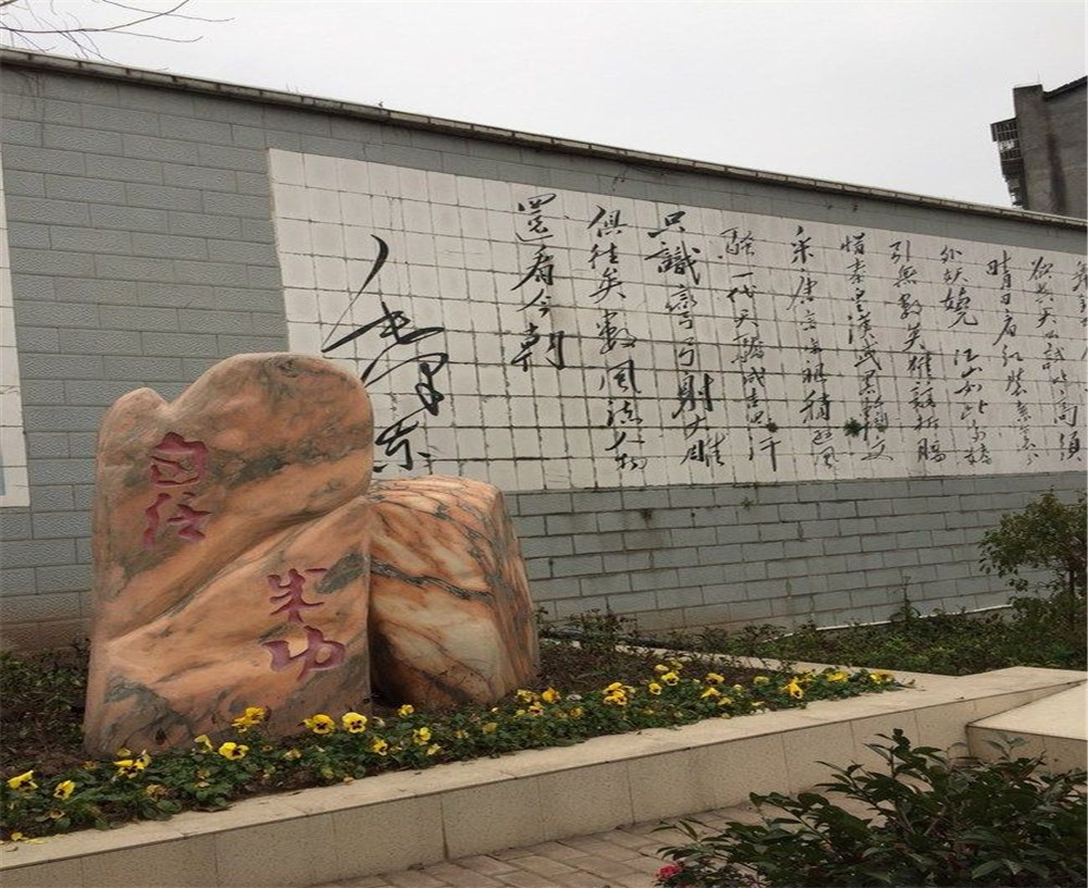 蒲家中學(xué)2020年招生計(jì)劃在哪兒看？