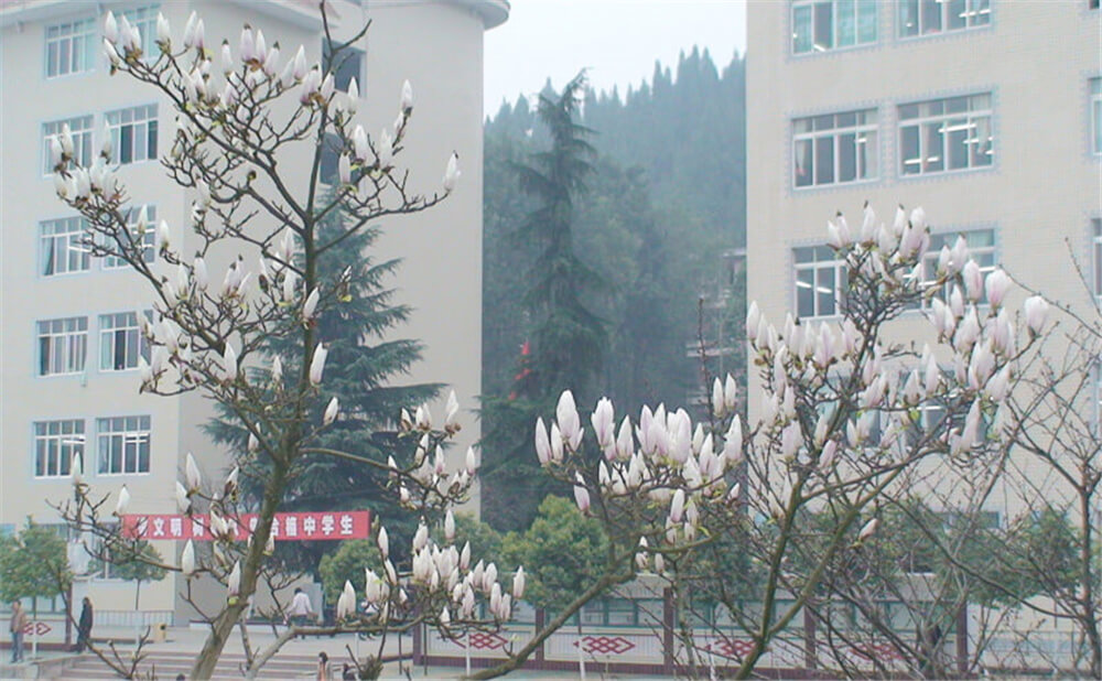 建興中學2020年中考錄取分數(shù)線多少分？