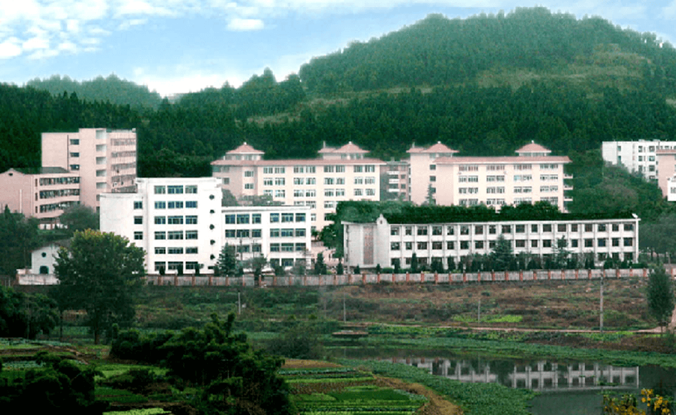 建興中學(xué)2020年學(xué)校學(xué)費(fèi)多少錢(qián)一年？