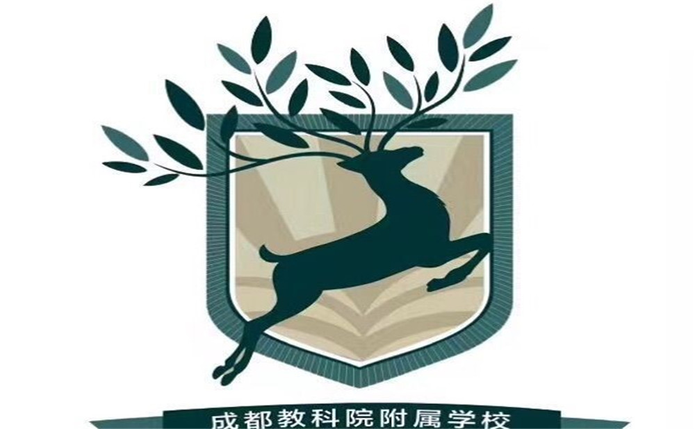 成都教科院附屬學校2020年的招生計劃發(fā)布了嗎？