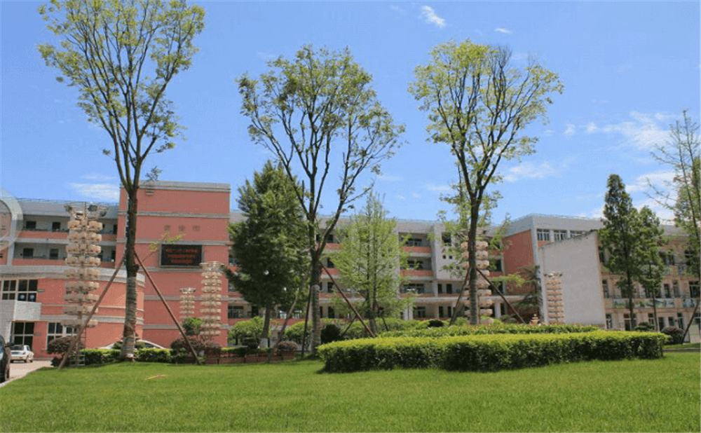 成都市籍田中學(xué)的老師怎么樣？