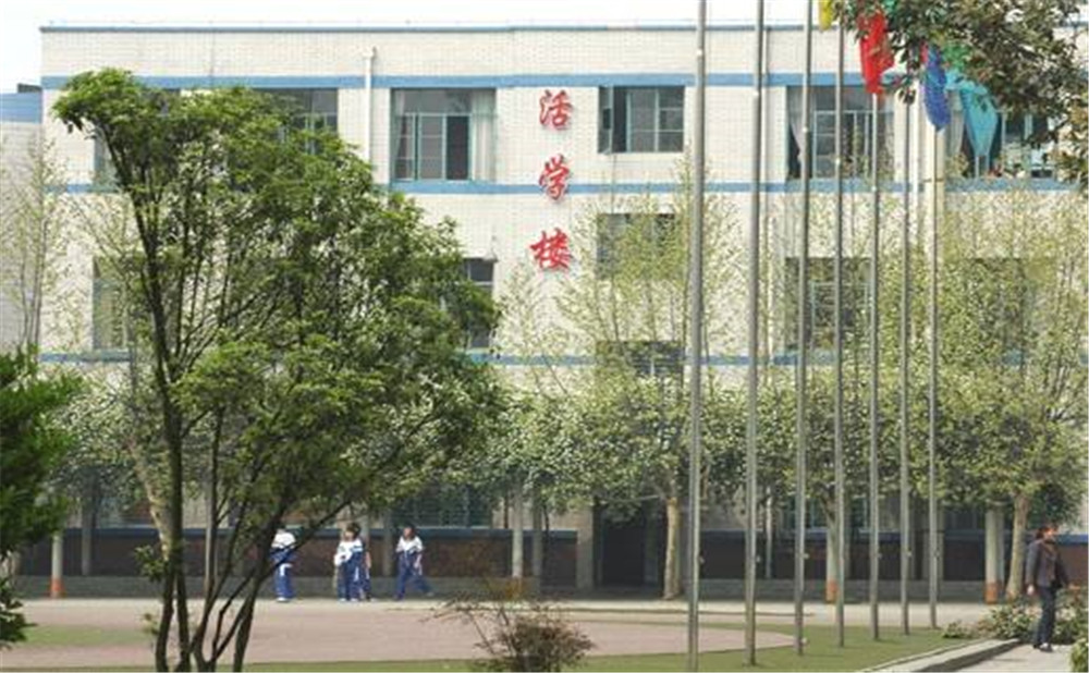成都成飛中學(xué)2020年招生標(biāo)準(zhǔn)是多少？