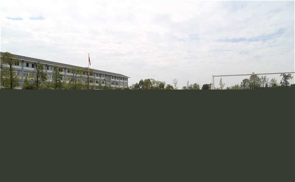 平樂中學(xué)的升學(xué)率是多少？