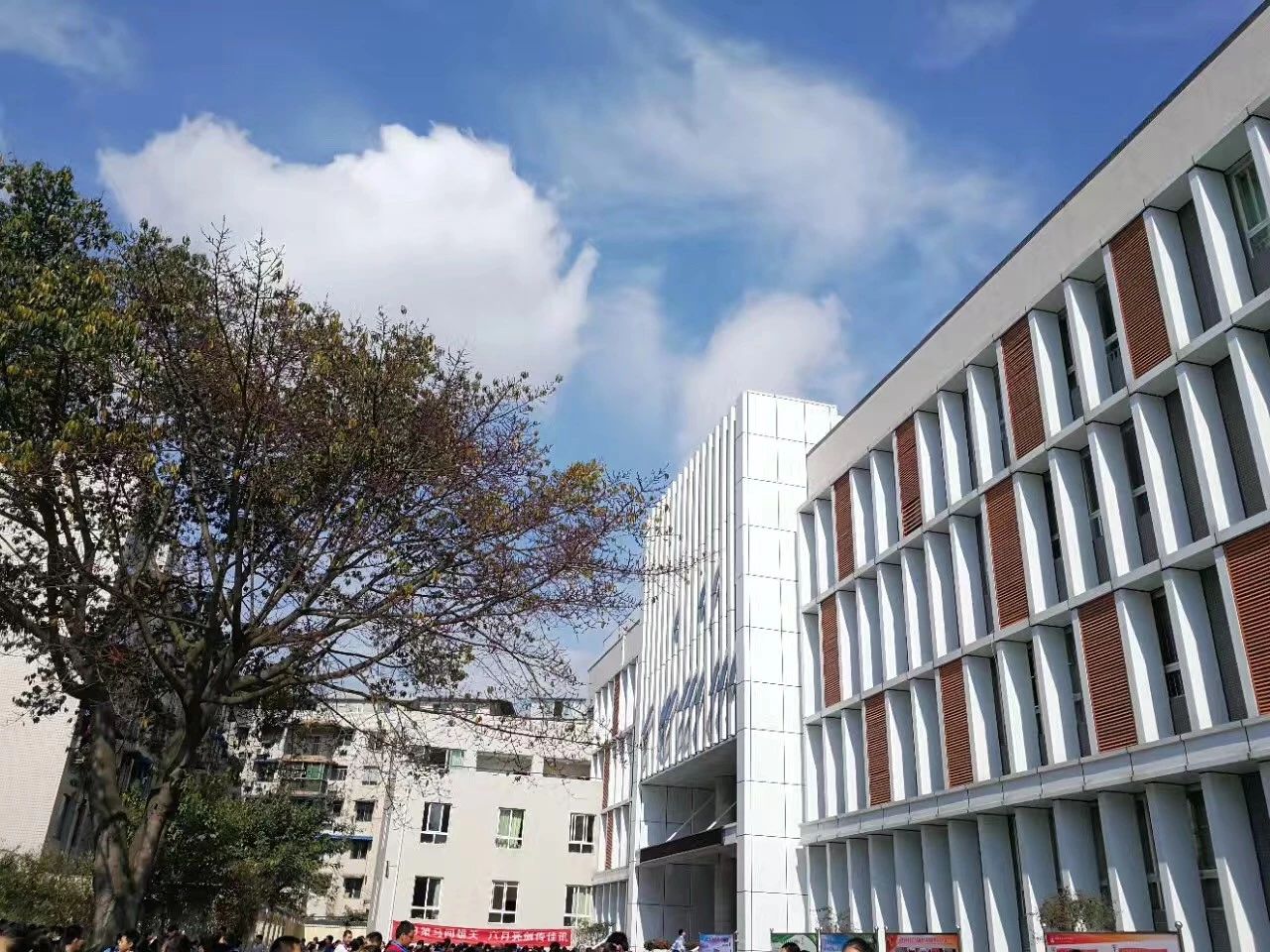 成都二十中高中一年的學(xué)費(fèi)是多少？