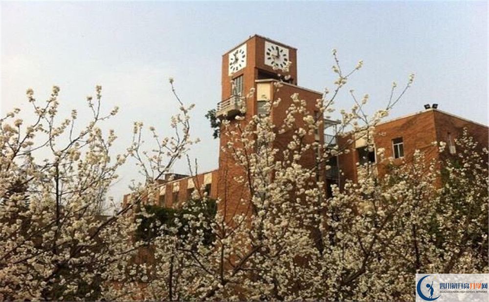 成都華西中學(xué)的學(xué)費(fèi)大概多少？