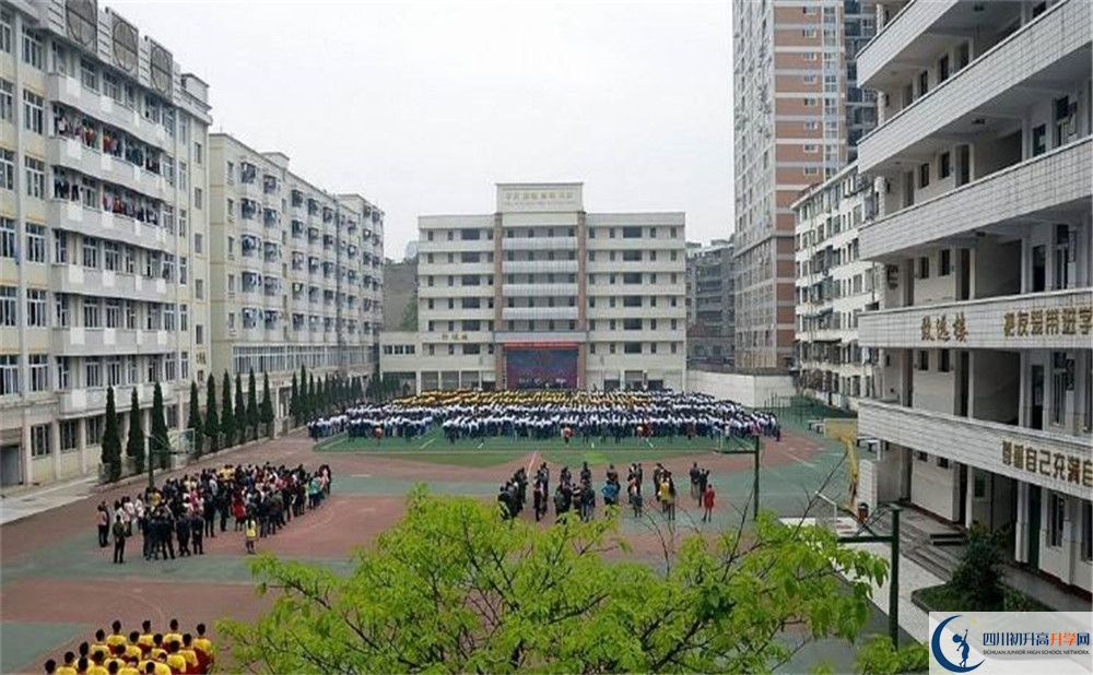 陽安中學(xué)的老師好不好？