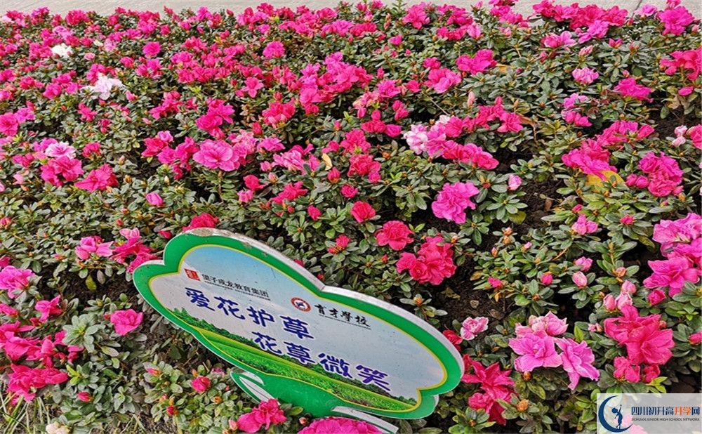 育才學(xué)校高中歷年來的分數(shù)線是多少？
