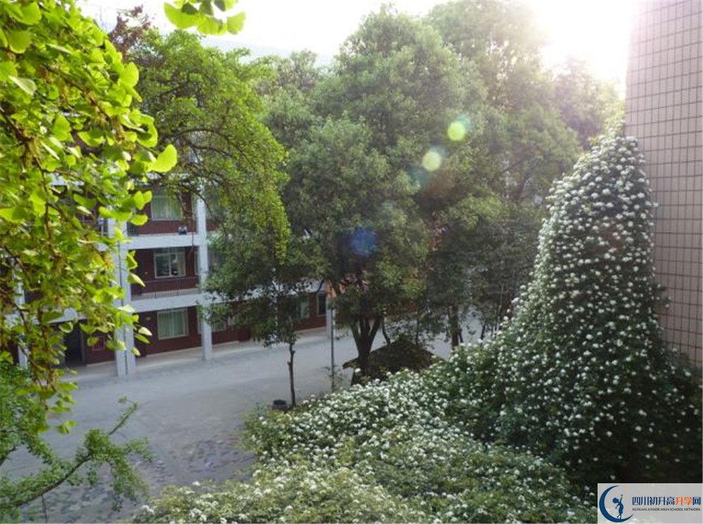 四川師范大學(xué)實驗外國語學(xué)校2020年錄取條件是什么？