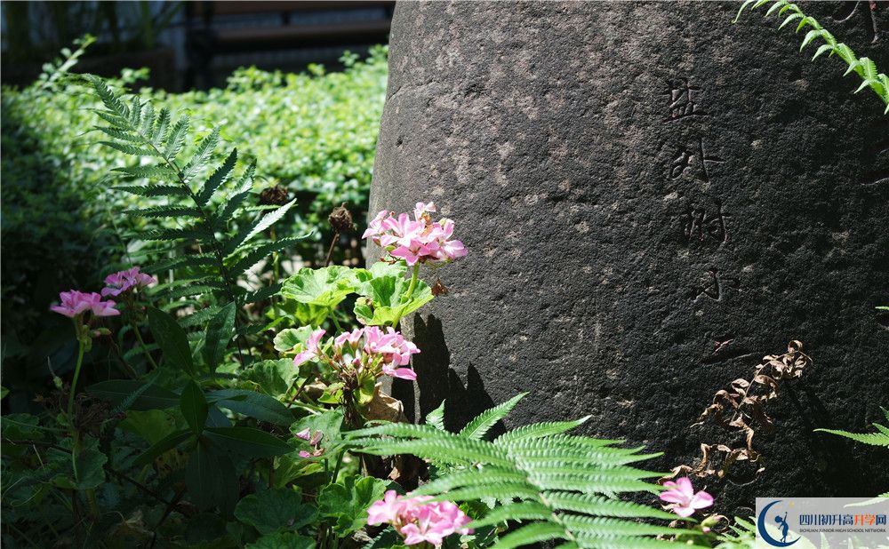 石室聯(lián)合中學(xué)蜀華分校住宿費(fèi)用是多少？
