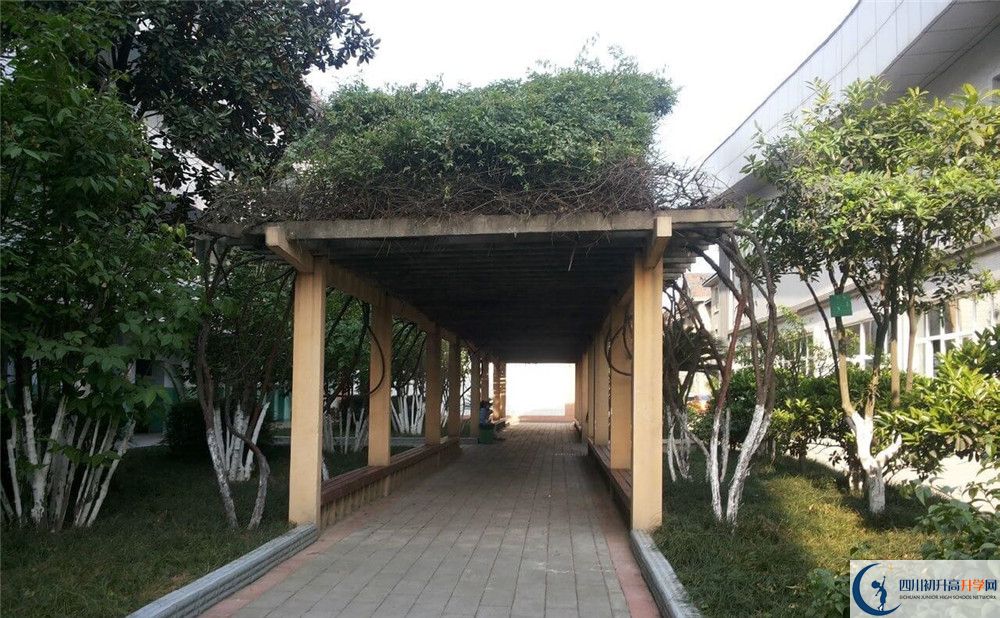 通錦中學2020年清華北大錄取學生有多少？