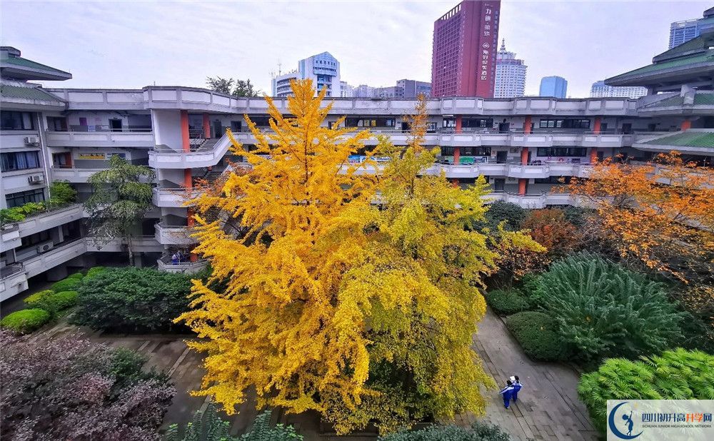 成都石室中學自主招生中考網(wǎng)上怎么報名？