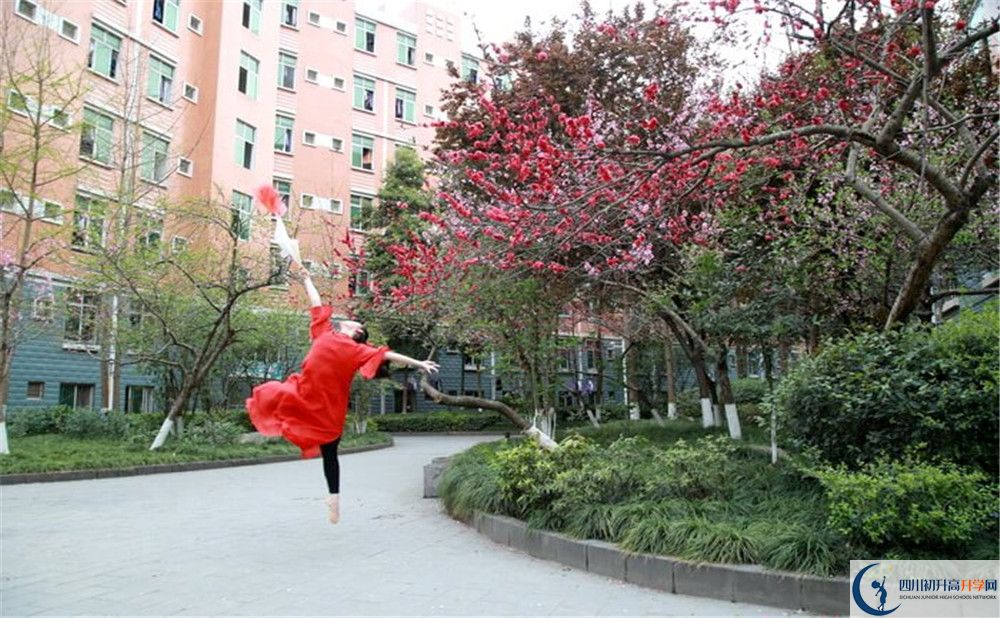 簡(jiǎn)陽(yáng)中學(xué)2020年保送清華北大的人數(shù)是多少？