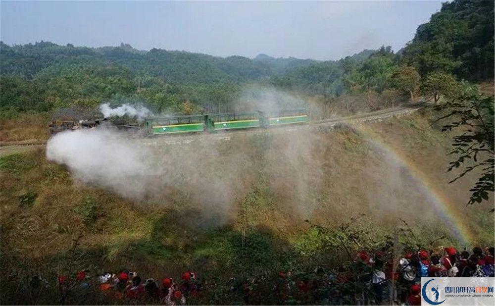 成都市泡桐樹中學國際班費用是多少？
