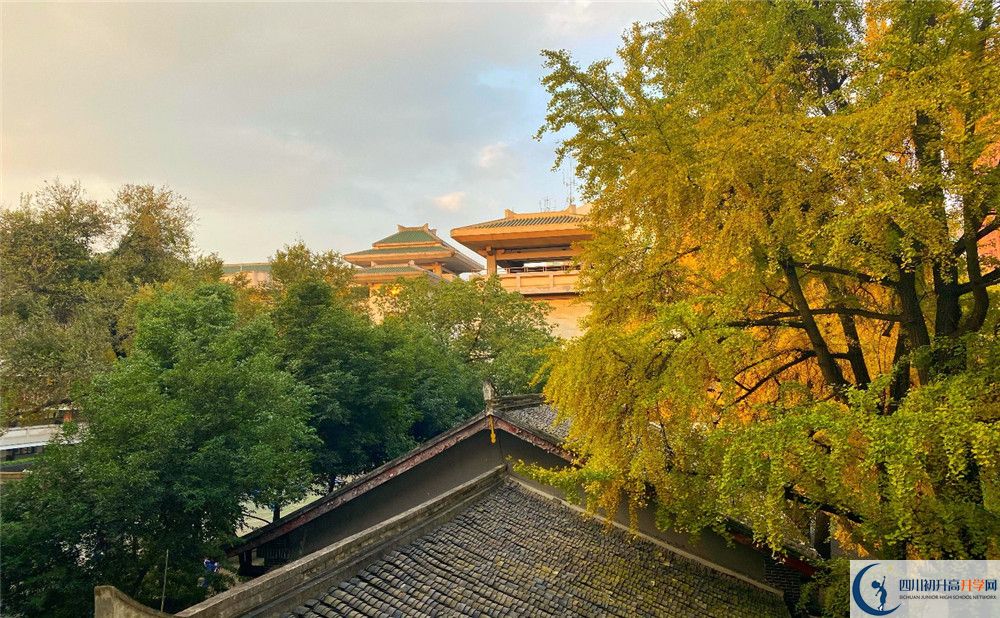成都市泡桐樹中學(xué)平行班與實(shí)驗(yàn)班差多少？