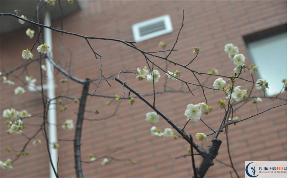 成都市華陽中學是私立還是公立學校？