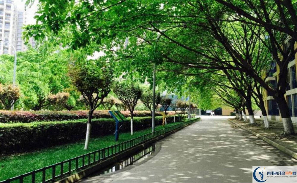 2020成都七中實驗學(xué)校國際部入學(xué)多少分？