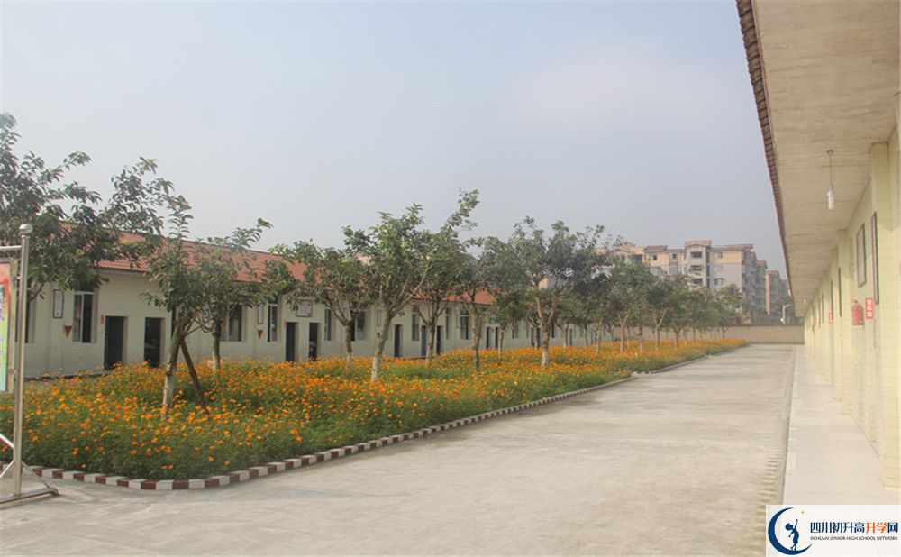 強(qiáng)項(xiàng)實(shí)驗(yàn)中學(xué)在全國(guó)高中排名多少？
