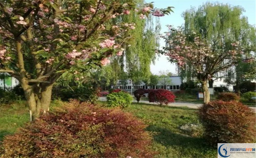 成都樹德中學(xué)光華校區(qū)實(shí)驗(yàn)班學(xué)費(fèi)貴嗎？
