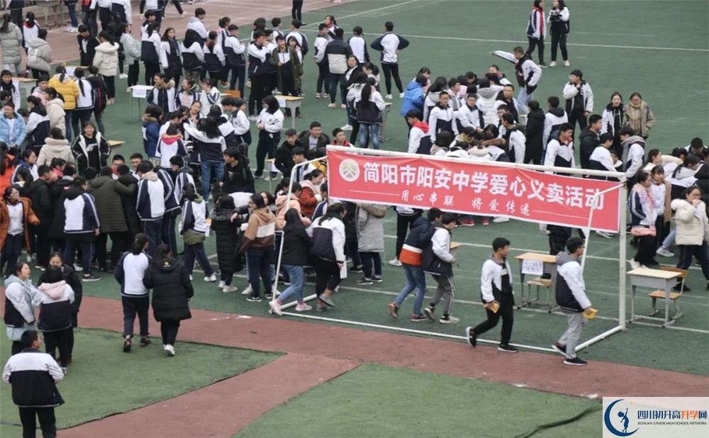 2020陽安中學平行班升學率是多少？
