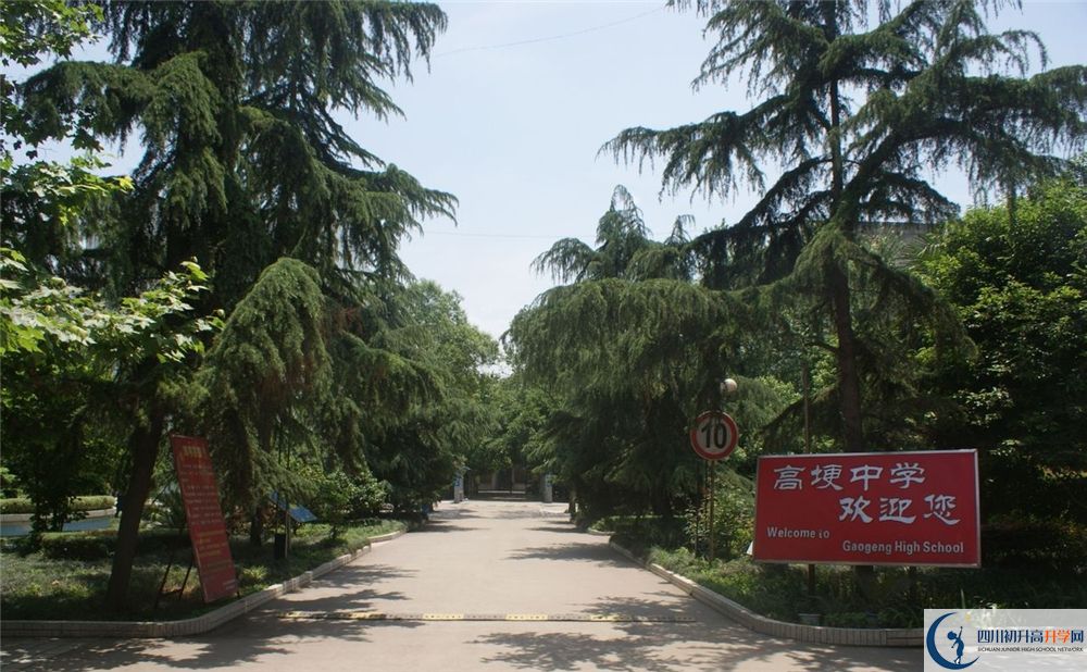 高埂中學在校學生總?cè)藬?shù)是多少？