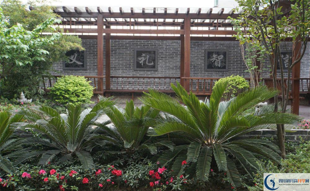 2020成都八中考自主招生條件是什么，有何變化？