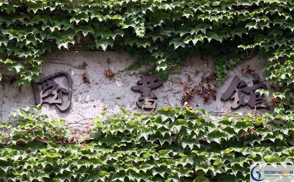 乘風(fēng)外國(guó)語(yǔ)實(shí)驗(yàn)中學(xué)今年的學(xué)費(fèi)怎么收取，是否有變化？