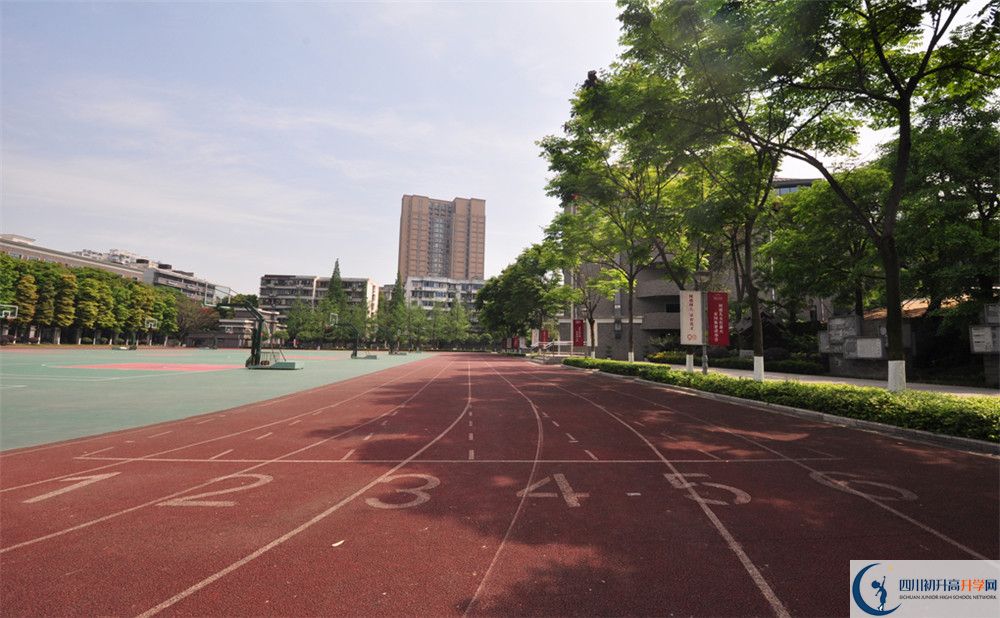 2019樹德中學分數(shù)線是多少？
