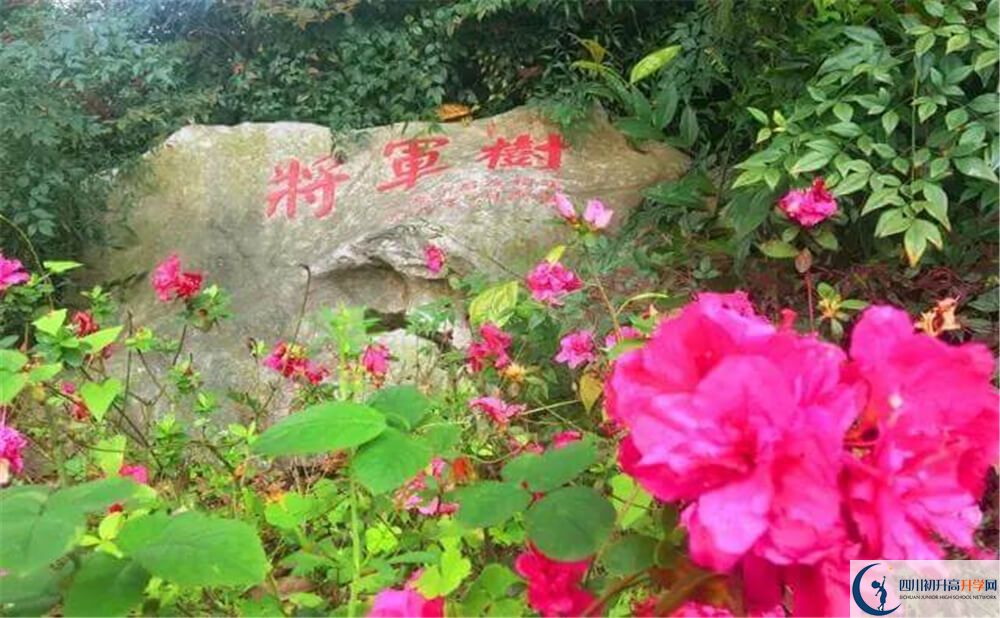 2020遂寧中學外國語實驗學校初升高錄取線是否有調(diào)整？