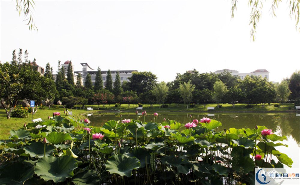 2020鄰水縣九龍中學初升高錄取分數(shù)線是否有調(diào)整？