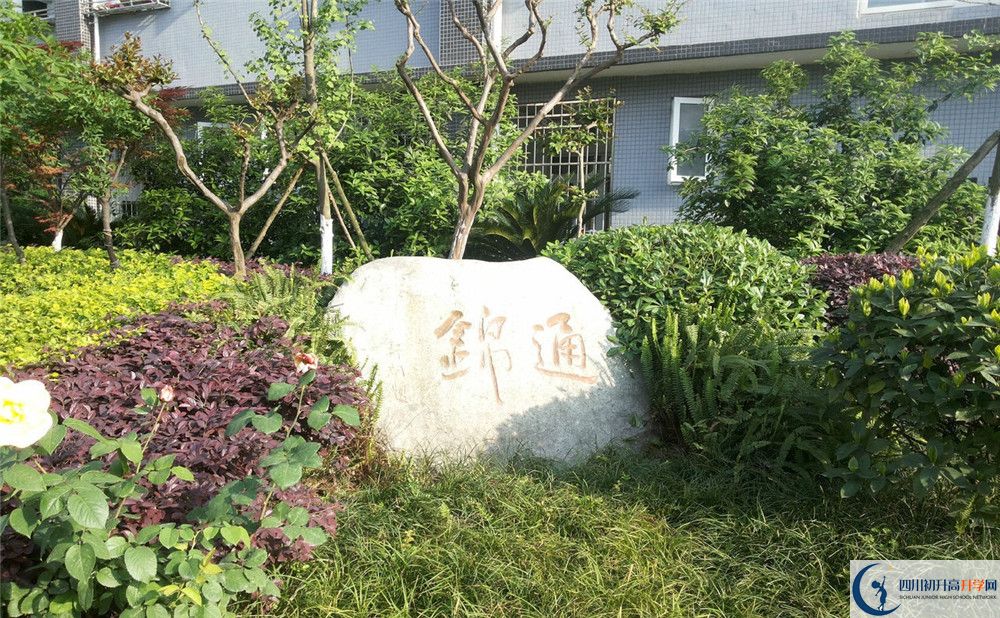 通錦中學(xué)班型分班情況如何？