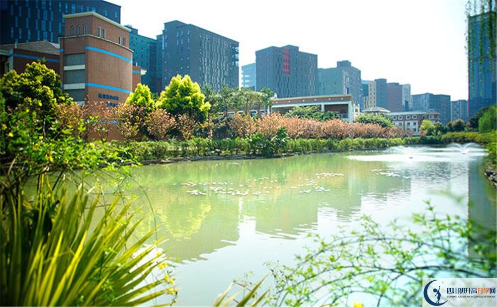 成都美視國際學(xué)校2020年怎么走？