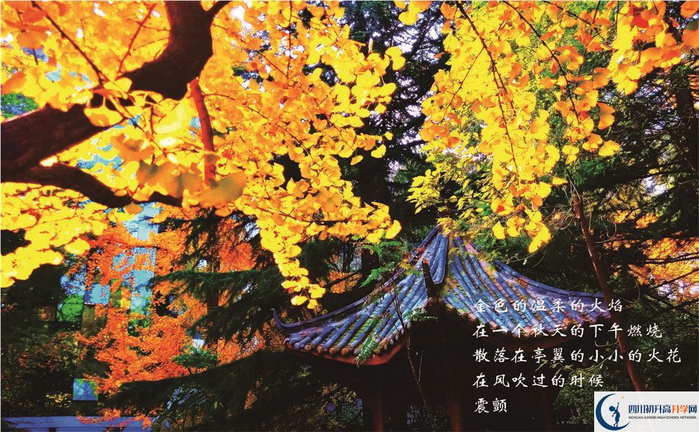 七中高新2020年學(xué)費是多少錢？