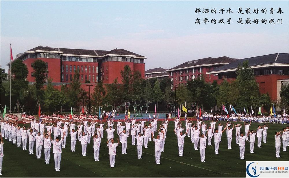 七中高新校區(qū)2020年中考重點(diǎn)率多少？