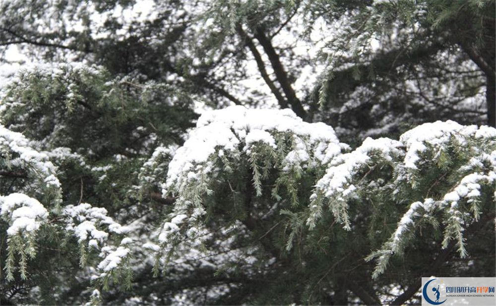 樹(shù)德博瑞實(shí)驗(yàn)學(xué)校電話號(hào)碼是多少？